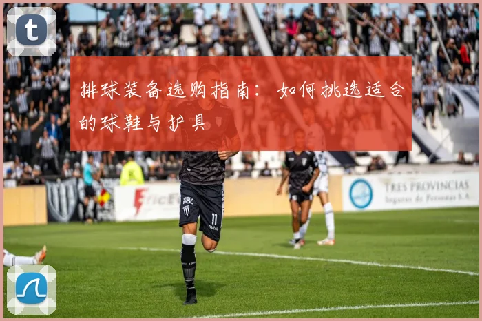 排球装备选购指南：如何挑选适合的球鞋与护具