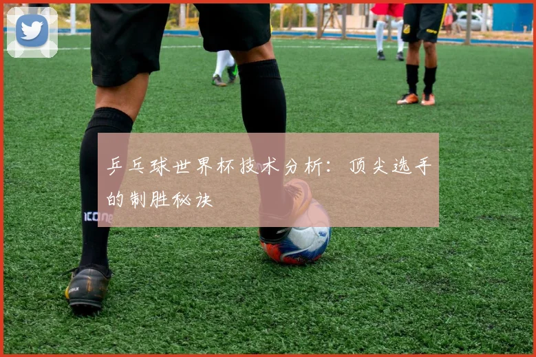 乒乓球世界杯技术分析:顶尖选手的制胜秘诀